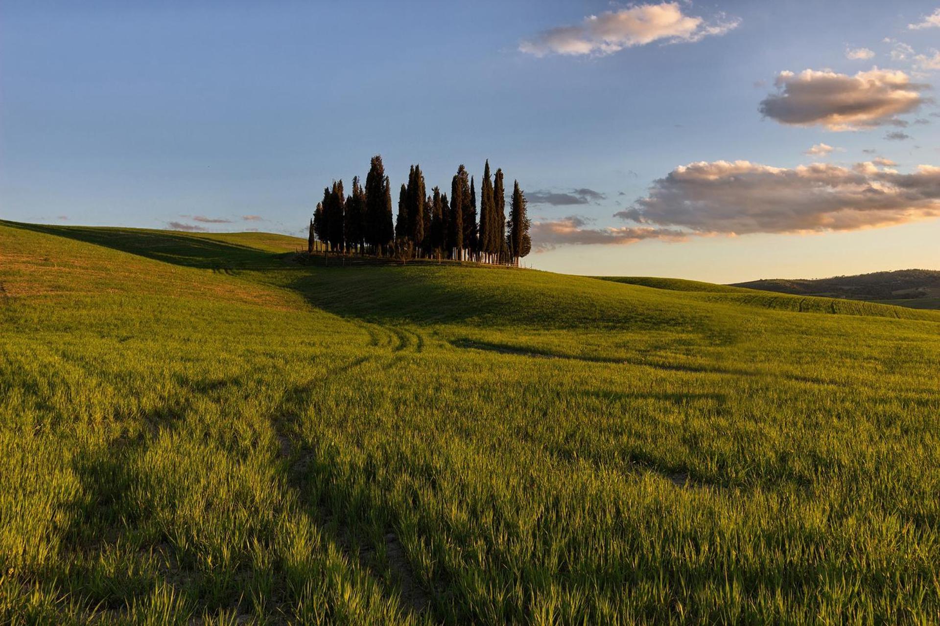 Апартаменты Casa Giulia, Il Gioiello Del Borgo Чертальдо Экстерьер фото